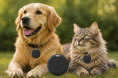 Localizador de mascotas por Bluetooth